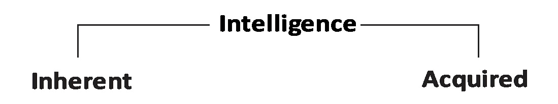 Intelligence